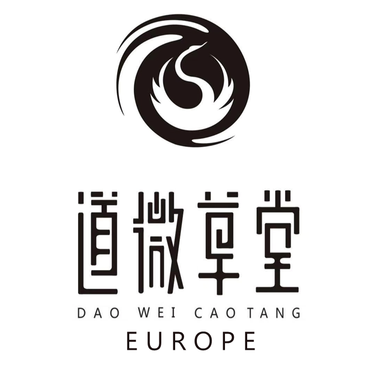 Dao Wei Cao Tang Europa - die Kampfkunst-Akademie von Meister Zhong Xueyong